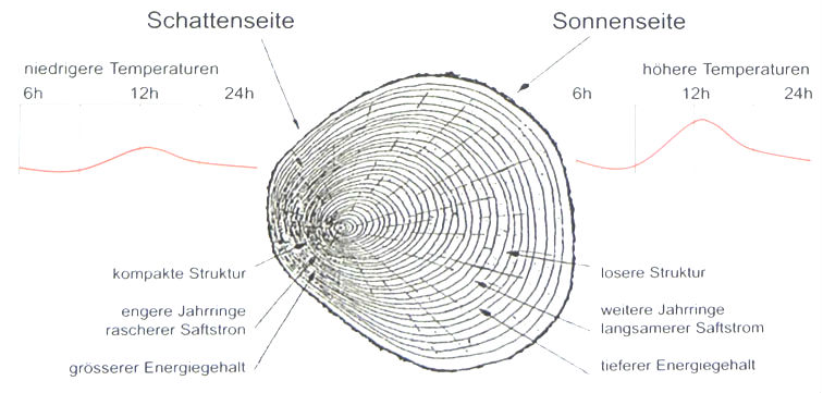 Grafik einer Baumstruktur