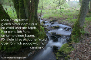 Kraftplatz_Wald_Bach